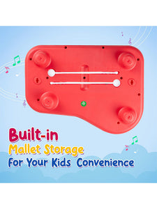 Educational Musical Instrument Toy For Kids - (MS-S-24)