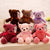 Ribbon Tie Stuffed Teddy (35 cm)