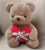 Premium Heart Teddy Plushie